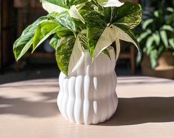 Rippled Ribs Minimalistic Planter Pot 4", 5", 6", 7" Tall Clear Pot Perfect Fit Unique Planters for Home Decor Ideas Interior Indoor Plants