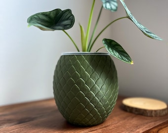 Maceta YONGGARI con forma de huevo de dragón, transparente, con drenaje, de 10,16 cm, 13,78 cm y 18,78 cm de alto. Ideal para amantes de las plantas. Ideal para plantas de interior.