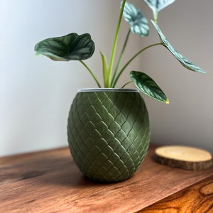 YONGGARI Dragon Egg Planter Pot 4&quot;, 5&quot;, 6&quot;, 7&quot; Tall Clear Pot with Drainage Unique Planters for Plant Lover Gift, Plant Pot for Houseplants