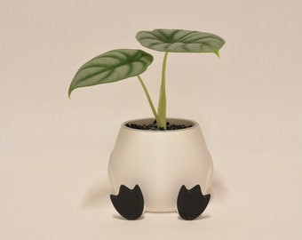 Cute Duckling Plant Pot Minimalistic Unique Planter Desk Home Office Decor Succulent Indoor Plant Gift Cute Animal Planter Duck Bird Lover