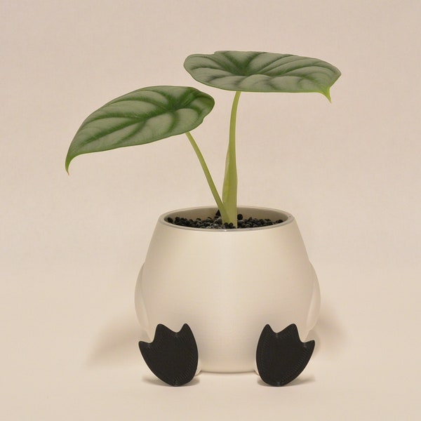 Pot de plante caneton mignon jardinière imprimée en 3D minimaliste décoration de bureau à domicile moderne plante d'intérieur succulente cadeau jardinière animal mignon pieds de canard