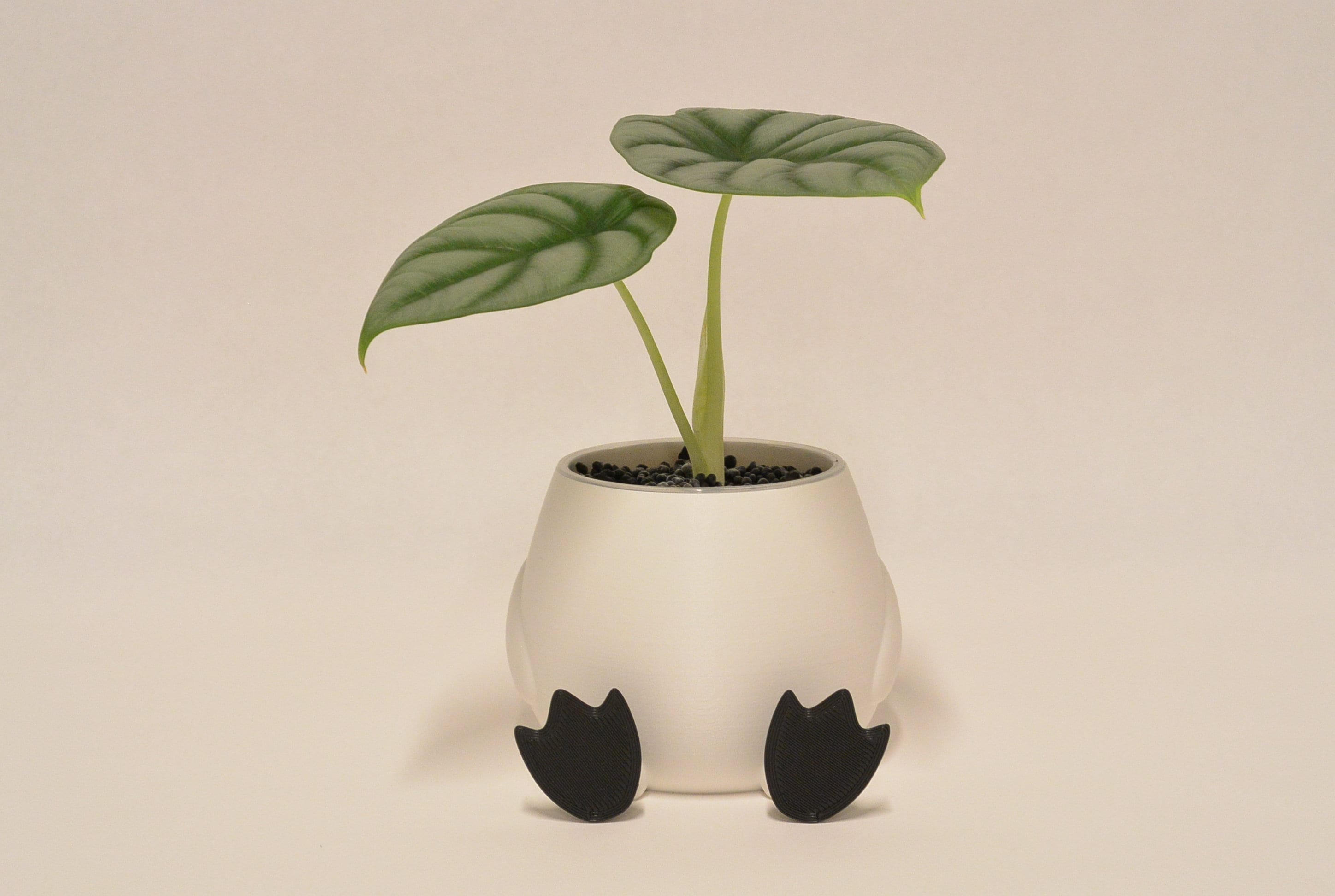 かわいいアヒルの子の植木鉢 ミニマルでユニークなプランター デスク 