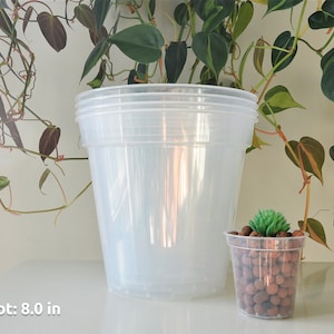 6, 7, 8, 9 Clear Nursery Pots Plastic Round Transparent Planter with Drainage for Indoor Houseplants Alocasia Hoya Monstera Philodendron image 5