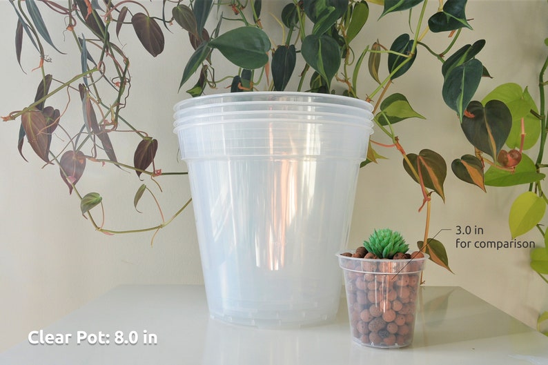 6, 7, 8, 9 Clear Nursery Pots Plastic Round Transparent Planter with Drainage for Indoor Houseplants Alocasia Hoya Monstera Philodendron image 5