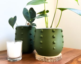 Maceta GOBLIN de 10, 12, 15, 18 y 20 cm de ancho, transparente, con drenaje, decorativa para el hogar, maceta de interior, maceta grande para escondite.