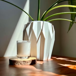 SANGJA Tall Planter Pot 4&quot;, 5&quot;, 6&quot;, 7&quot; Tall Clear Pot with Drainage Modern Decorative Planters for Home Decor, Indoor Plant Large Cache Pot
