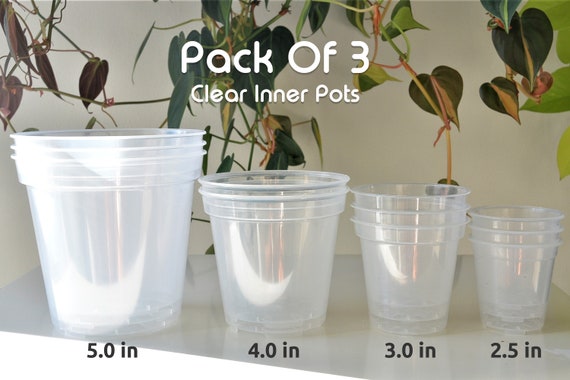 2.5", 3", 4", 5" Pack of 3 Clear Pots Orchid Flower Indoor Houseplants  Variety Pack Transparent Planters With Drainage Clear Nursery Pots - Etsy  Israel