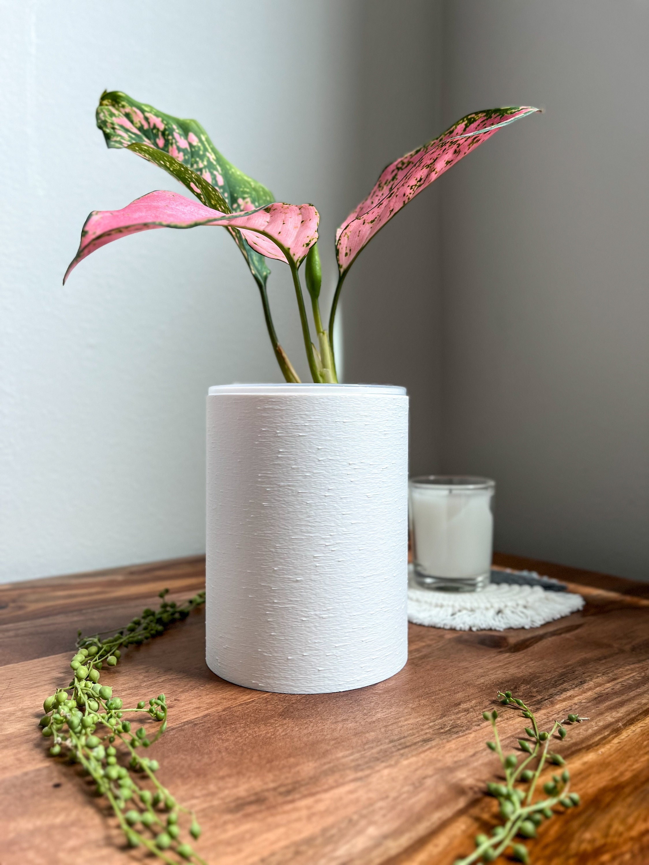 Tall Narrow Plant - Etsy