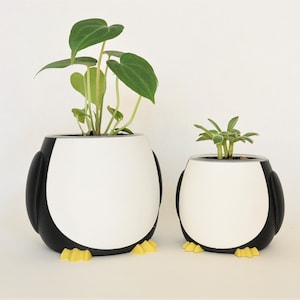 Vaso per piante di pinguino multicolore 3D stampato fioriere di animali carini per lei e lui Idea regalo Penguin Lover Plant Pots Clear Orchid Flower Pots immagine 1