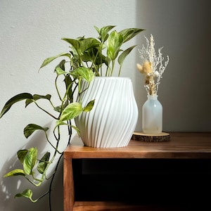 SORA Plant Pot 4&quot;, 5&quot;, 6&quot;, 7&quot; Tall Clear Pot Perfect Fit Unique Large Planter for Home Decor Ideas Gifting Indoor Plants for Semi-Hydroponic