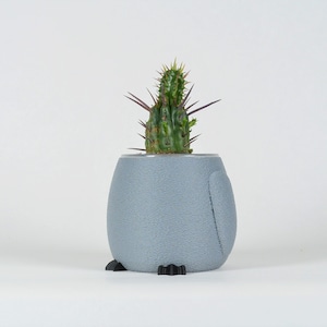 以下が含まれることがあります： 小さなサボテンの植物が入った、ペンギン型の灰色のセラミックプランター。プランターは黒い足と質感のある表面をしています。
