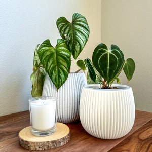 HWASEOM Pot 4&quot;, 5&quot;, 6&quot;, 7&quot; Wide Clear Pot with Drainage Ribbed Decorative Planters for Home Decor, Indoor Plant Pot Large Cache Pot Gift