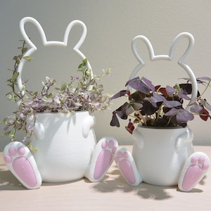 May include: Two white ceramic bunny planter pots with pink feet. The larger pot has a trailing plant with green and purple leaves. The smaller pot has a plant with purple leaves.
