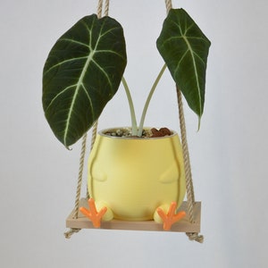 Puede incluir: Una maceta de cerámica amarilla con forma de pollito con patas naranjas, colgada de un columpio de cuerda. La maceta contiene una planta de hojas de terciopelo verde.