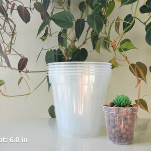 6, 7, 8, 9 Clear Nursery Pots Plastic Round Transparent Planter with Drainage for Indoor Houseplants Alocasia Hoya Monstera Philodendron image 3