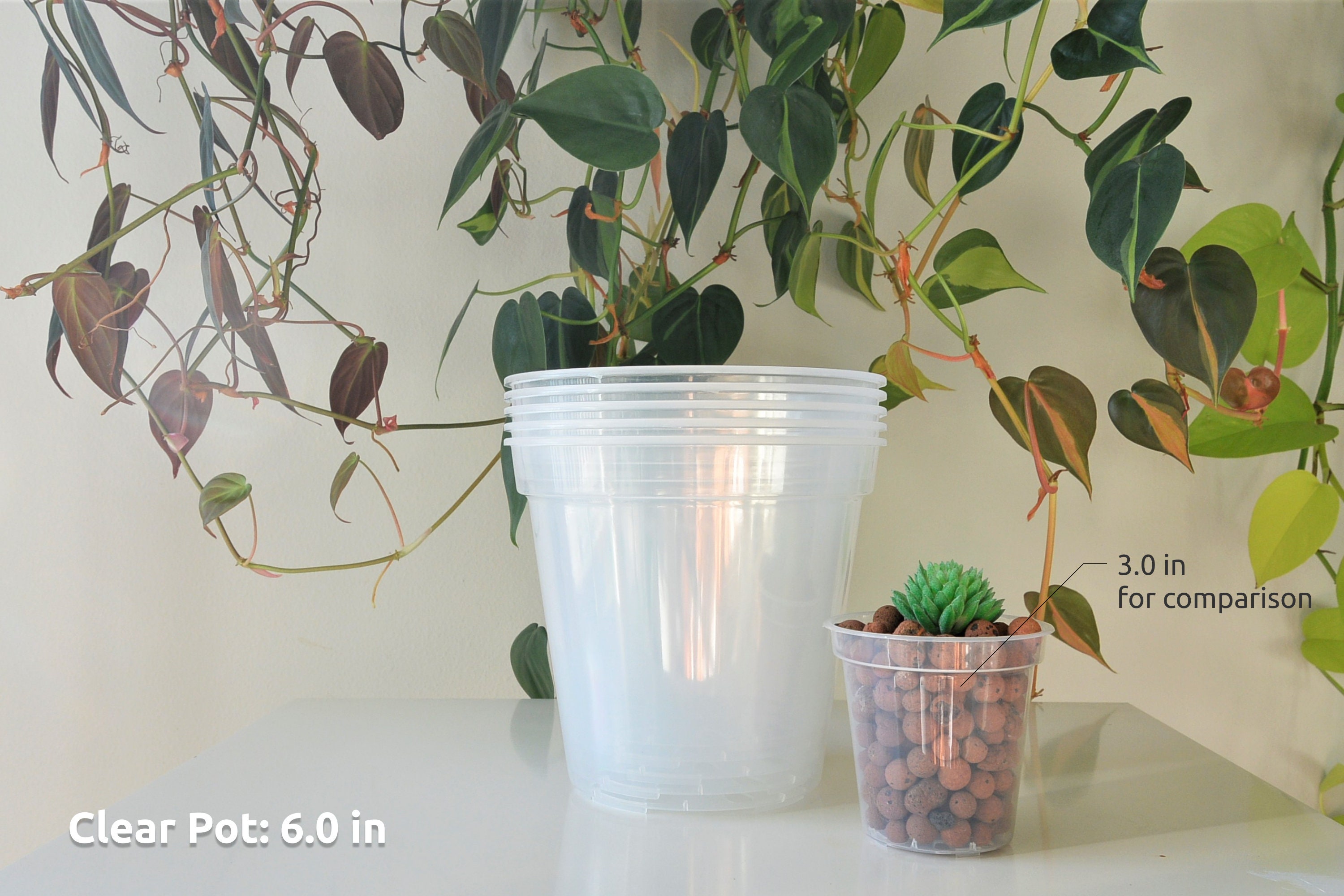50 Transparente Pflanztöpfe Mit Drainage – 5 Größen (8,9–17,8 Cm), Aus PP, Für Orchideen, Kakteen, Kräuter & Mehr