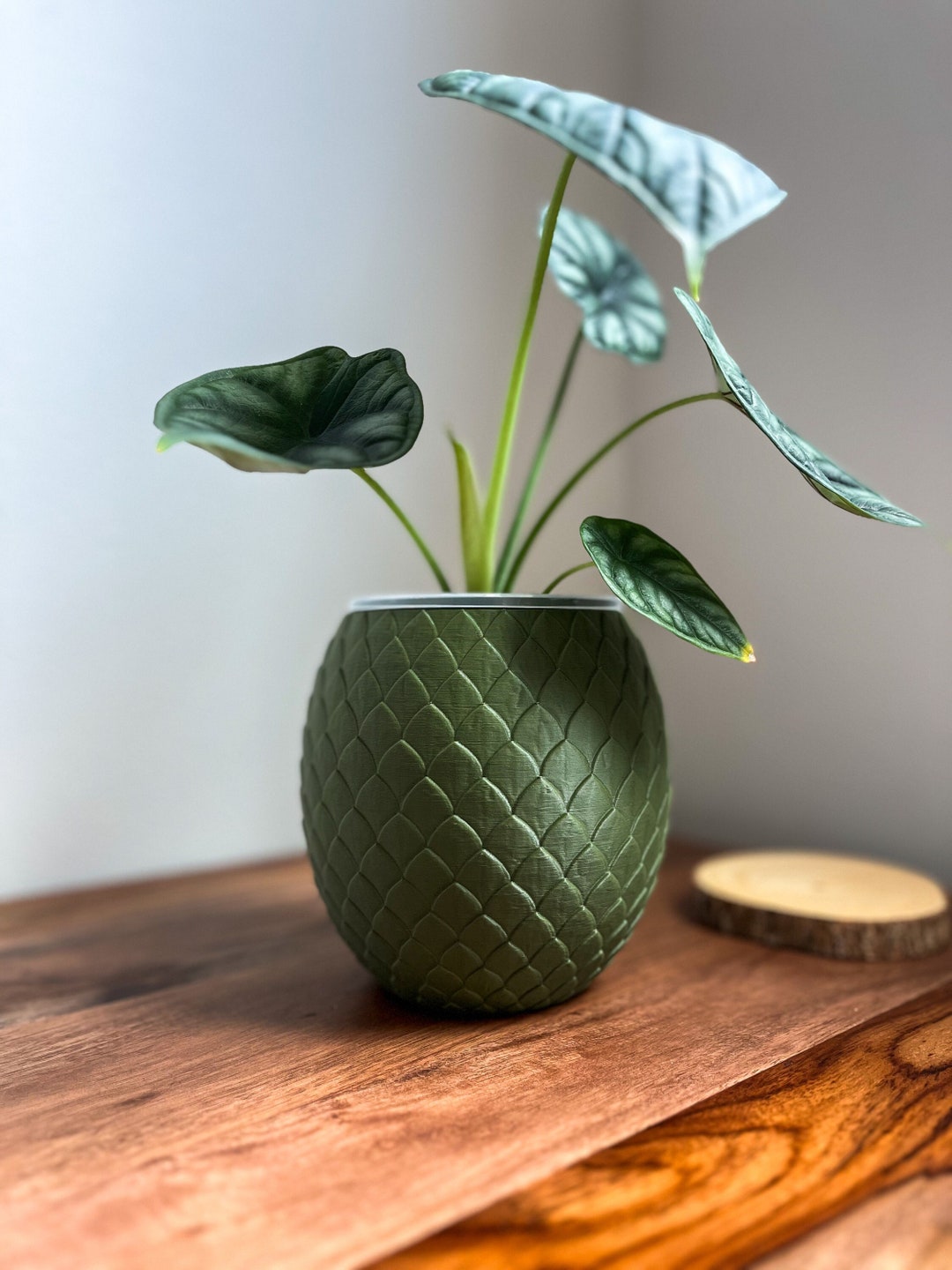 dragon eggs pot 植木鉢 DRAGON EGGS POT BOWL マーブル L SIZE 鉢 invisible ink