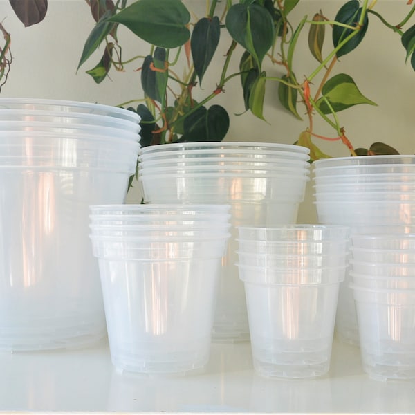 6", 7", 8", 9", 10", 12", 14" Clear Nursery Pots Plastic Round Transparent Planter with Drainage for Indoor Plants Alocasia Monstera Philo