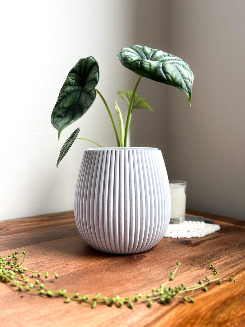 Maceta HWASEOM de mediados de siglo, transparente, de 10,16 cm, 13,78 cm y 18,78 cm de alto. Maceta única y perfecta para la decoración del hogar. Plantas de interior de mediados de siglo. imagen 4