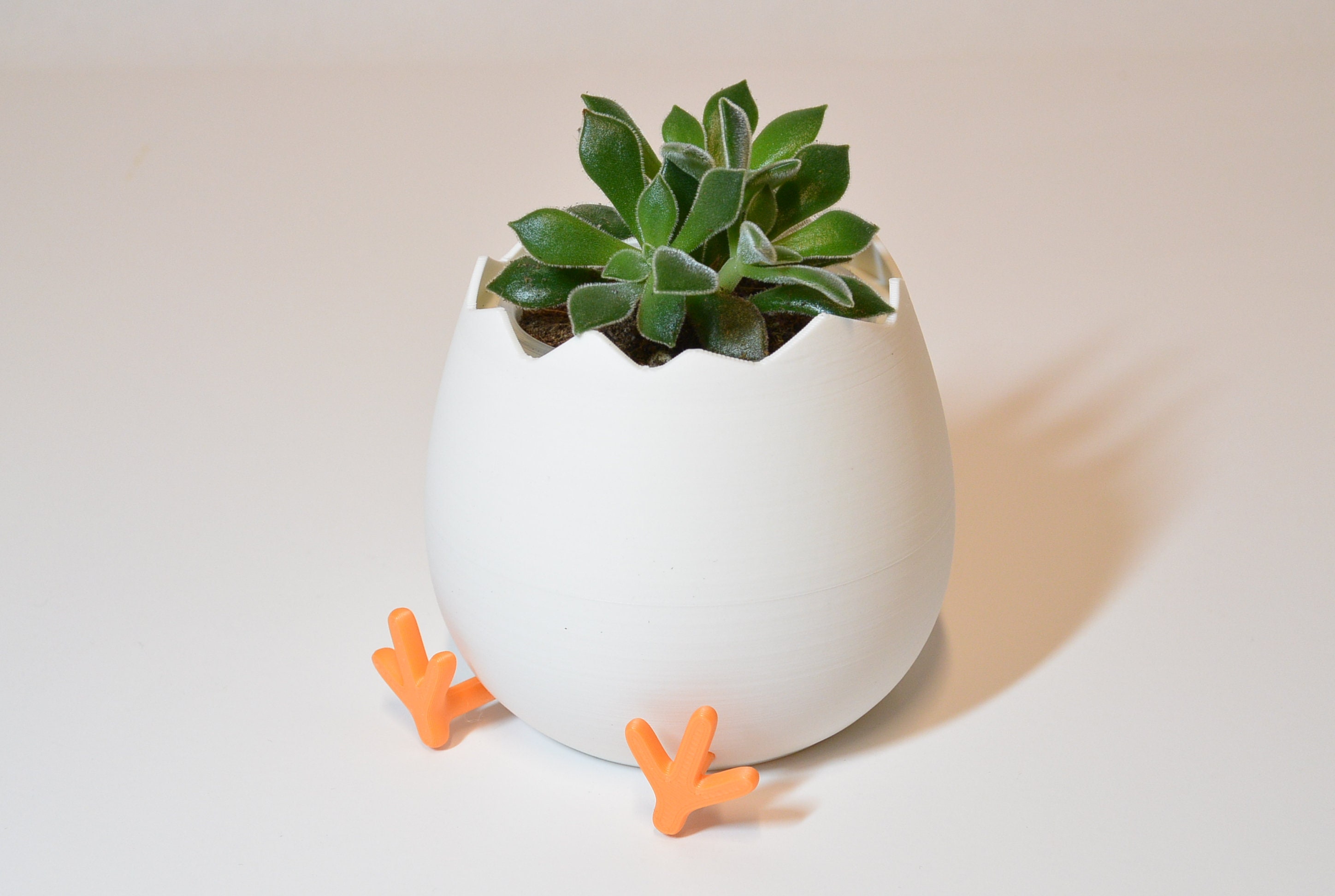 Broken Egg Shell Plant Pot Easter Egg Gift for Plant Lover 3D