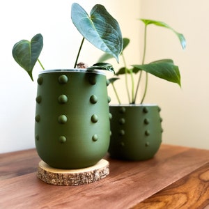 DOKKAEBI Tall Planter Pot 4&quot;, 5&quot;, 6&quot;, 7&quot; Tall Clear Pot with Drainage Decorative Planters for Home Decor, Indoor Plant Pot Large Cache Pot