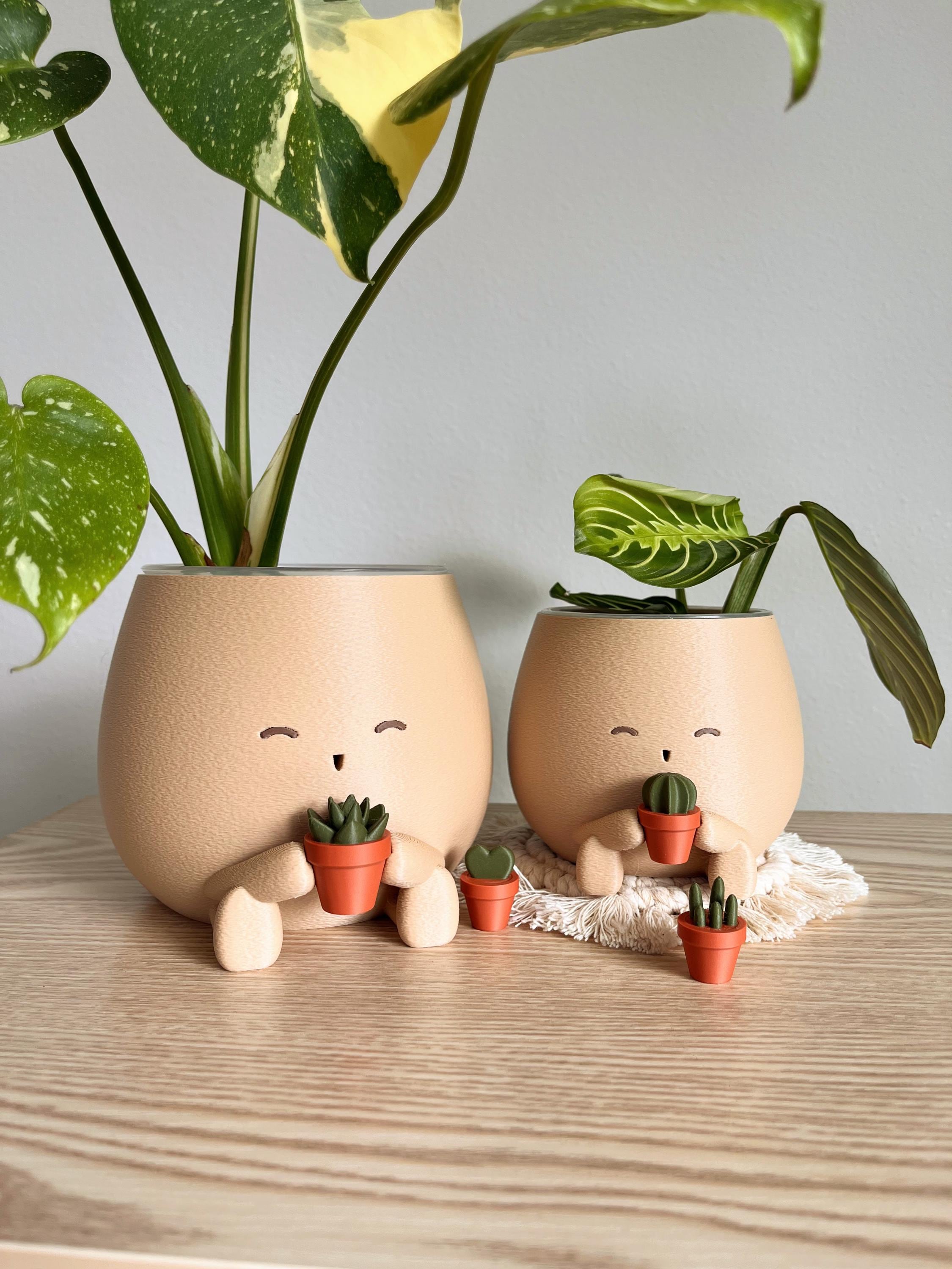 TOT with a Mini Plant Lover Planter Cute Home Office Decor Plant Unique Gift for Her, Him, and Plant Lover Clear Pots with Drainage
