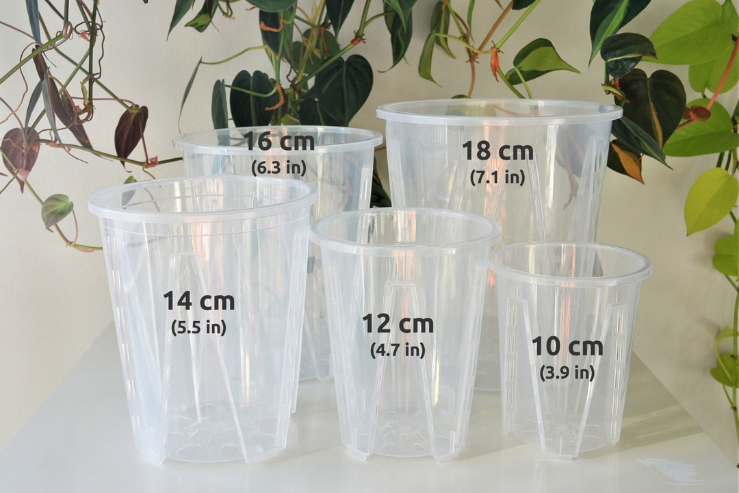 NO COFFEE × BOTANIZE × .blnk plastic pot NO COFFEE × BOTANIZE × .blnk plastic pot