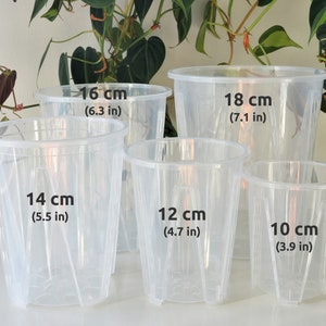 4&quot;, 5&quot;, 6&quot;, 7&quot;, 8&quot;, 9&quot; Tall Clear Pots Plastic Reusable Transparent Planter with Drainage for Indoor Plants Alocasia Monstera Philodendron