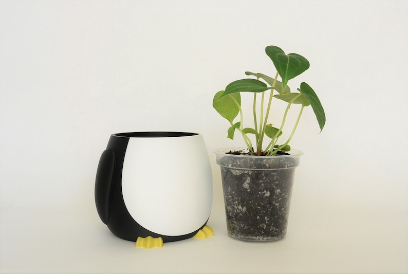 Vaso per piante di pinguino multicolore 3D stampato fioriere di animali carini per lei e lui Idea regalo Penguin Lover Plant Pots Clear Orchid Flower Pots immagine 5