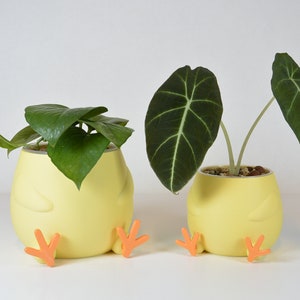 Puede incluir: Dos macetas de cerámica amarilla con forma de pollitos, con patas naranjas, que contienen plantas verdes. La maceta de la izquierda tiene una planta de hojas verdes, mientras que la maceta de la derecha tiene una planta de hojas verde oscuro.