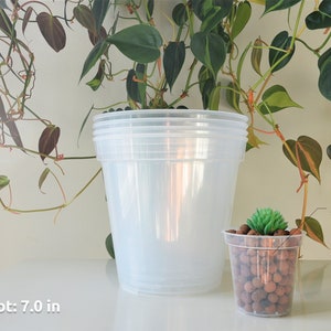 6, 7, 8, 9 Clear Nursery Pots Plastic Round Transparent Planter with Drainage for Indoor Houseplants Alocasia Hoya Monstera Philodendron image 4