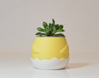 Baby Chick in a Broken Egg Planter 3D Printed Animal Plant Pot Minimalistic Decor Plant Chick Gift for Easter Egg Succulent Cute Plant Pot