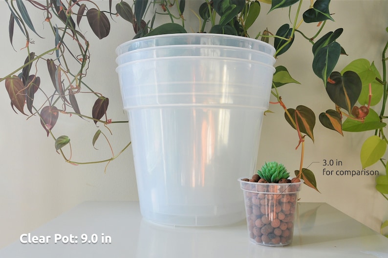 6, 7, 8, 9 Clear Nursery Pots Plastic Round Transparent Planter with Drainage for Indoor Houseplants Alocasia Hoya Monstera Philodendron image 6