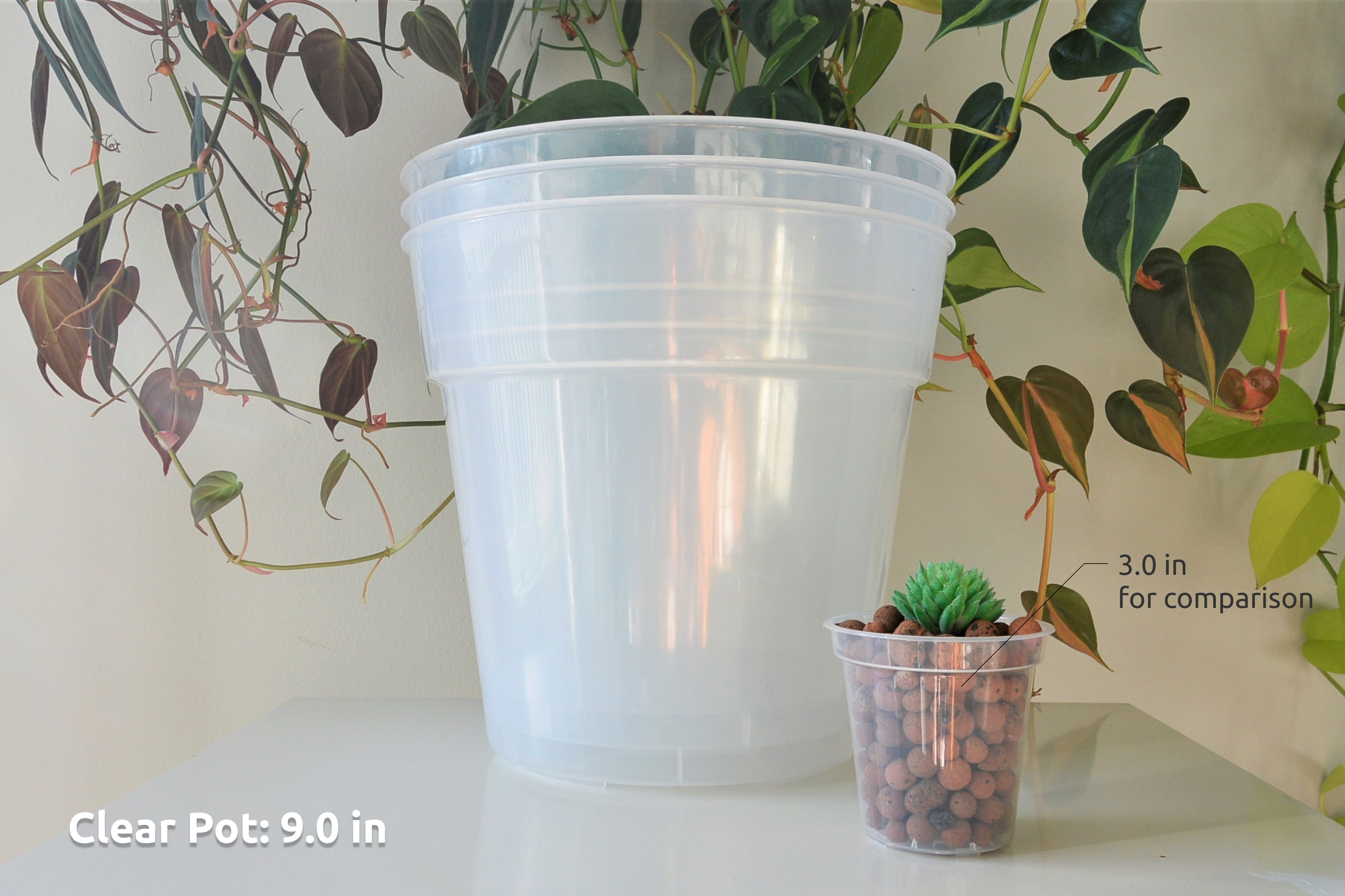 6", 7", 8", 9", 10", 12", 14" Clear Nursery Pots Plastic Round Transparent  Planter With Drainage for Indoor Plants Alocasia Monstera Philo - Etsy