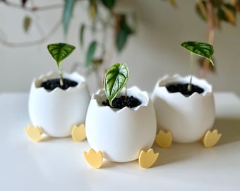Eendenei-plantpotten Uniek cadeau voor haar, hem, vogelliefhebber, plantenliefhebber, dierenbakken Plantenvermeerdering Leuke eendenbakken met doorzichtige potten