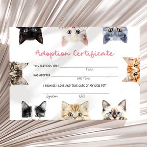 Adoption Certificate Template Kitten Adoption Card Table Decor Adopt A Cat Party Adopt A Kitten Card Vet Pawty Decor Download Printable C8