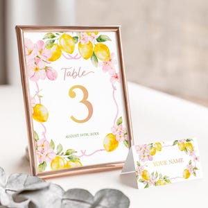 Placa de número da mesa principal Squeeze Conjunto de cartão de lugar Citrus Conjunto de recepção Chá de panela de limão Placa de mesa Amalfi Cartão de nome Etiqueta temática Amalfi MS1