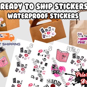 Mean Girls Sticker Easy Peel Water Proof Vinyl Sticker Set, Water Bottle Sticker Laptop Sticker mean girls party favors, mean girls party