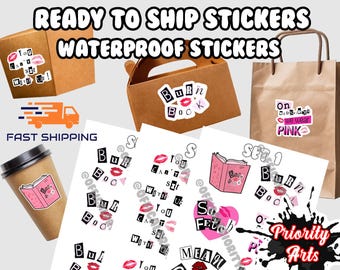 Mean Girls Sticker Easy Peel Water Proof Vinyl Sticker Set, Water Bottle Sticker Laptop Sticker mean girls party favors, mean girls party