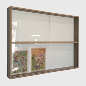 Verzamelaarsvitrine voor uw schatten, hangvitrine, plank, vitrine met 2 compartimenten!!!