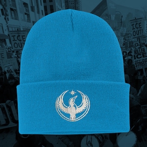 Minnesota Rebel Alliance Embroidered Beanie, MN State Bird Loon Protest & Resistance Skull Cap, Anti Ice