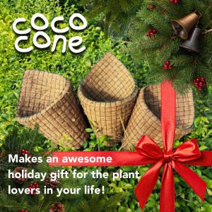 May include: Three cone-shaped hanging plant liners made of brown coconut fiber with a dark wire grid frame. The text coco cone is in the upper left corner, and a red ribbon with a bow is at the bottom right with holiday greenery.