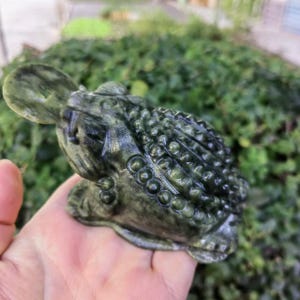 1 pic Natural genuine Green jade Money frog, Feng Shui Fortune Coin Stone Crystal Healing Toad/ Frog /Chan Chu Sculpture Prosperity PDD682