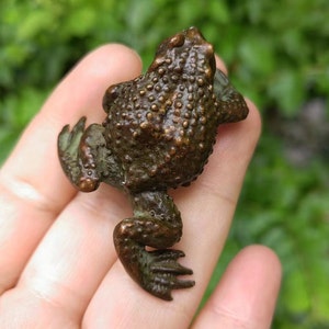 May include: A bronze frog figurine with a textured body and detailed features. The frog is depicted in a crouching position, with its legs and webbed feet visible. The figurine has a dark, aged appearance.