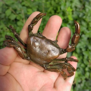 May include: A bronze crab sculpture with detailed claws and body. The crab is a dark brown color with green accents, and is held in a hand against a blurred green background.