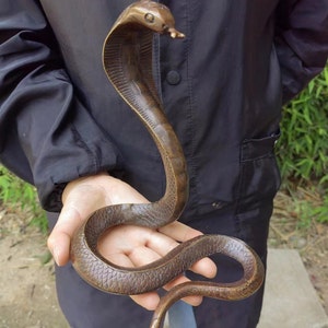 Könnte beinhalten: Eine bronzene Kobraskulptur, gehalten in einer Hand. Die Schlange ist in einer erhobenen, zuschlagenden Pose dargestellt, mit detaillierten Schuppen und einer ausgestellten Haube. Die Skulptur hat eine dunkle, gealterte Patina.