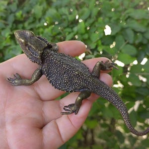 Lizard Sculpture Solid Copper Ornament, Animal Figurine for Home Office Garden Desktop Decor Realistic Retro dragon reptiles Figure PDD4282