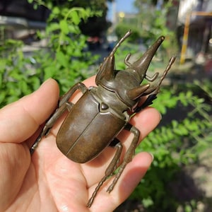 Peut inclure: Une sculpture de scarabée de couleur bronze avec des pattes, des antennes et une corne proéminente détaillées. Le scarabée est tenu dans une main, mettant en valeur son design complexe et sa finition métallique. Il s'agit probablement d'un objet décoratif ou de collection.