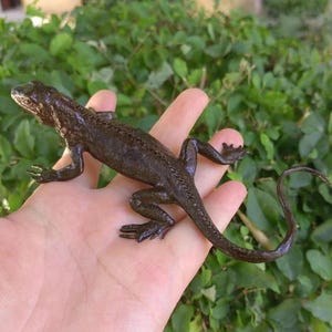 Lizard Sculpture Solid Copper Ornament, Animal Figurine for Home Office Garden Desktop Decor Realistic Retro dragon reptiles Figure PDD4202