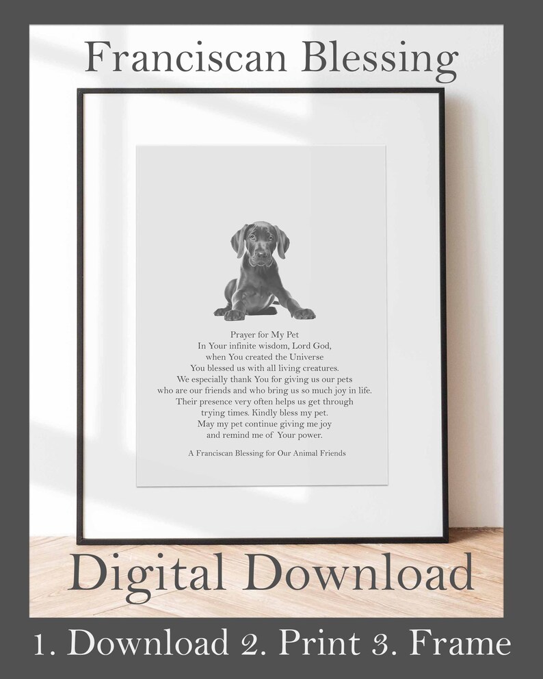 Franciscan Blessing for Pets Digital Download Catholic - Etsy